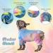 Kuoser Dog Tie Dye Pajamas - Colorful Soft Cotton Onesie for Small Medium Dogs - Breathable Dog Jumpsuit for Spring and Autumn | S Blue - Buy Online on GoSupps.com