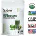 Buy Sunfood Sun Is Shining Supergreens - 8 oz (227 g) | Premium Green Superfood Supplement - Buy Online on GoSupps.com
