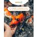 Petifool Koi Silk - 1.5kg Dried Silk Caw | Healthy Insect Snack for Turtles Fish Birds Reptiles & Rodents - International Shipping Available - Buy Online on GoSupps.com