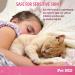 Pet MD Deodorizing Body Spray for Dogs & Cats - Japanese Cherry Blossom Scent - 8 oz - Buy Online on GoSupps.com