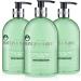 Baylis & Harding Anti-Bacterial Hand Wash Bundle - 9 Bottles, Rhubarb & Pink Pepper/Aloe Tea Tree & Lime, Vegan Friendly - 6 x 500ml + 3 x 500ml - Buy Online on GoSupps.com