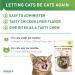 Vetoquinol Enisyl-F Lysine Bites for Cats & Kittens - Chicken Liver Flavor L-Lysine Chews 6.4oz - International Shipping Available - Buy Online on GoSupps.com