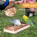 Buy Corner Seating Boards for Birds - 2-Set 10x20cm with Natural Wood Border | Ideal Cage Accessories for Budgies Canaries & Nymphensittich | Fastening Material Included - Buy Online on GoSupps.com