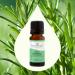 Buy Plant Therapy Organic Rosemary Essential Oil - 100% Pure USDA Certified Undiluted Aromatherapy - 10 mL - International Shipping Available - Buy Online on GoSupps.com