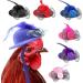 Elastic Chicken Hats for Hens - Set of 6 Funny Accessories for Rooster, Duck, Parrot - Stylish Poultry Costume - Buy Online on GoSupps.com