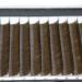 Scala 0.10mm C Curl 10mm Dark Brown Individual Eyelash Extension - Natural False Lashes - Buy Online on GoSupps.com