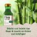 Maui Moisture Volume Boost Bamboo Fiber Conditioner 385ml - Strengthening Vegan Hair Care with Castor Oil & Neem l Sulfate-Free for Intense Hydration - Buy Online on GoSupps.com