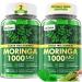 Moringa Gummies 1000mg + Spirulina, Saffron, Ashwagandha & Natural Astaxanthin 4 mg | Energy, Mood, Immune & Gut Health Green Superfood | Organic Moringa Supplement for Women Men, Sugar Free, 120Cts 60 Count (Pack of 2)