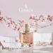 Gisada Ambassador Women Perfume - Perfumes for Women with Fruity Floral Warm Fragrance - Daily Wear Women's Cologne and eau de parfum for Long-Lasting Scent - Made in Switzerland - 3.3 fl. oz. Ambassador Women 3.3 Fl Oz (Pack of 1) - Buy Online on GoSupps.com