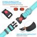 Haapaw Reflecting Dog Collar - Padded Neoprene Breathable Nylon for Small & Medium Dogs - Turquoise - Durable & Comfortable (1-Pack) - Buy Online on GoSupps.com