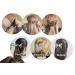 2in1 Hairstyle Aid & Hair Jewelry Set - Twister Ponytail Clasp Hair Band Clip Bun Maker in Brown & Black - Perfect for Stylish Updos | International Shipping Available - Buy Online on GoSupps.com