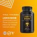 Vital Vitamins Lions Mane Mushroom Supplement Capsules - Brain Booster with Cordyceps, Reishi, Chaga & Maitake - 90 Veggie Pills - Buy Online on GoSupps.com