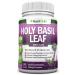 NutriONN Holy Basil Leaf Capsules - 500mg - 2.5% Ursolic Acid - 120 Vegan Capsules - Real Tulsi Extract Supplement - Positive Mindset - Adaptogenic & Ayurvedic Herb