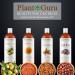 Plant Guru Safflower Oil 8 fl. oz. Cold Pressed 100% Pure & Natural Carrier for Skin Face Body Hair and Cooking. Great for DIY Creams Lotions and Lip Balms. - Buy Online on GoSupps.com