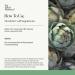 Metabolic Gold Citrus Bergamot Supplement with Artichoke & Baobab | Blood Pressure & Cholesterol Support | Vegan | 60 Capsules - Buy Online on GoSupps.com