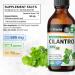 BIO KRAUTER Cilantro 100 Capsules & Cilantro Tincture 4 Fl. Oz. - Buy Online on GoSupps.com
