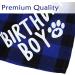 Dog Birthday Bandana - Plaid Cotton Triangle Scarf for Small Medium Dogs & Cats | Washable Birthday Party Supplies (Blue) - Buy Online on GoSupps.com