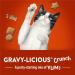 Friskies Party Mix Cat Treats Gravy-licious Crunch Chicken and Gravy - 454 g Cannister (1 Pack) 454 g (Pack of 1) Cat Treats - Buy Online on GoSupps.com