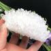 Natural Crystal Rough Beautiful Natural Clear Quartz Crystal Cluster Minerals Great Reiki Stone Home Decoration (Color : 300-350g) - Buy Online on GoSupps.com