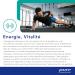 Pure Encapsulations Cogni Activ Cognitive Functions Support with Vitamins B6 B9 B12 Folate Zinc Lutein and Zeaxanthin - 60 Capsules - Buy Online on GoSupps.com