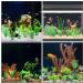 Rikudim Realistic Plastic Aquarium Plants - Small Artificial Decorations for Vibrant Aquariums - Buy Online on GoSupps.com