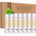 7-Pack Vanilla Lip Balm Gift Set by Naturistick. 100% Natural Ingredients. Best Beeswax Chapstick for Dry Chapped Lips. Made in USA