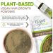 Davis Finest Bhringraj Powder 300g - Promotes Healthy Hair Growth | Pure & Natural Ayurvedic Hair Mask for Hair Loss, Split Ends, and Damage - Buy Online on GoSupps.com