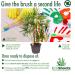 EcoShoots Adults Bamboo Toothbrushes with Firm Bristles | Family Pack of 5 Natural Bamboo Toothbrush | Eco-Friendly Natural Wooden Toothbrush | Organic Biodegradable Handle | BPA Free Tooth Brushes Firm 5 Pack - Buy Online on GoSupps.com