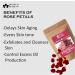 Blessfull Healing Organic 100% Pure Natural Rose Petals Powder | 100 Gram / 3.52 oz Pack Of 2 - Buy Online on GoSupps.com