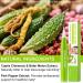 Vernis Anti-Morsure d'Ongles - Stylo Cliqueur Pr vention 7ml Arr t Mauvaises Habitudes - Solution Amer Naturel Pr venir Habitude Sucer Doigts Portable Soin Ados Adultes - Buy Online on GoSupps.com