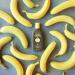 Sun Bum SPF 70 Sunscreen Lotion | Vegan & Reef Friendly | Broad Spectrum UVA/UVB Protection | Vitamin E | 8 oz (Pack of 2) - Buy Online on GoSupps.com