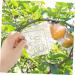 SUPVOX 10 Pcs Square Apple Molds Vegetable Shaping Square Styling Melon Stereotypes - Buy Online on GoSupps.com