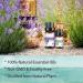 HERBROMAS Essential Oil Set - Top 16 Aromatherapy Oils for Candle & Soap Making, Diffusers, Humidifiers - Buy Online on GoSupps.com