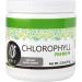Epic Black Label Premium Chlorophyll Powder Dietary Supplement - Potent & Effective with Mint Flavor - Easy to Take - Buy Online on GoSupps.com