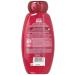Garnier Whole Blends Color Care Shampoo - Argan Oil & Cranberry Extracts 12.5 Fl Oz - Buy Online on GoSupps.com