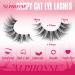 ALPHONSE Natural Wispy Cat Eye Lashes - Fluffy Faux Mink Strip 3D Fake Eyelashes - 16mm Clear Band for a Natural Look - International Shipping Available - Buy Online on GoSupps.com