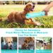 VFANDV Portable Pet Drinking Bottle - Leak-Proof 550ml Dog & Cat Water Bottle for Travel Hiking & Daily Walks - Buy Online on GoSupps.com