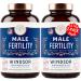 Fertility Supplements For Men Prenatal Vitamins - Conception For Him Male Fertility Vitamin and Fertility Support Supplement - Zinc, Maca, Ashwagandha, L Arginine - 4 Month Supply, 240 Fertility Pills