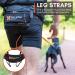 Non-stop dogwear CANIX-Belt 123X | Maximum Safety & Minimum Weight | Size L | International Shipping - Buy Online on GoSupps.com