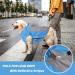Plus Po Waterproof Dog Raincoat with Hood - Blue for Small Dogs | Durable & Stylish Rain Gear - Buy Online on GoSupps.com