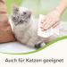 Beaphar Ear & Eye Wipes for Dogs & Cats - 30 Pieces | Gentle Cleaning Solution for Pets - Shop Now! - Buy Online on GoSupps.com