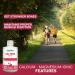 Liquid Ionic Calcium Magnesium Formula with Vitamin D Vitamin C and Zinc - Maintain Healthy and Stronger Bones - 500ml - Cherry Flavor - Non-GMO Gluten Free Sugar Free - Made in Canada - Buy Online on GoSupps.com