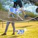 Cool Summer Dog Shirt & Vest for Small Dogs - Breathable Fashionable Pet Clothing | Blue Puppy Sweatshirt for Beach - Buy Online on GoSupps.com