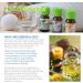 Healing Solutions Calm Body Mind Blend Essential Oil - 100% Pure Therapeutic Grade 60ml | International Shipping Available - Buy Online on GoSupps.com
