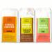 Elements Truffles Ayurveda Shakti Bars - Vegan & Organic Date Energy Snacks with No Added Sugar, Nuts or Gluten - Non-GMO Natural Grab & Go Food - Mango, Chocolate Coconut & Rose Variety Pack of 12 Variety 12 Pack