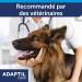 ADAPTIL Calm - Pack of 3 refills for Anti-Stress diffuser for Dogs - Natural mode of action - Works for 3x30 Days - without Drowsiness - Made in France - Buy Online on GoSupps.com