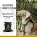 OneTigris Eureka Small Dog Backpack - Hiking Backpack with Poop Bag Dispenser for Small Dogs - Green - Buy Online on GoSupps.com