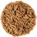Buy EWL Natural Products Soldier Fly Larvae - 1kg Dried Insect Feed for Birds Fish Turtles & Hedgehogs - Premium Quality Animal Nutrition - Buy Online on GoSupps.com