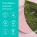 ClarityRx Cleanse Daily Vitamin-Infused Face Wash | Natural Plant-Based Moisturizer for All Skin Types - 6 Fl Oz - Buy Online on GoSupps.com