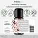 Buy Herbal Max Latshackle Pine Essential Oil - 10ml | Natural Mountain Pine Fragrance Oil | International Shipping Available - Buy Online on GoSupps.com